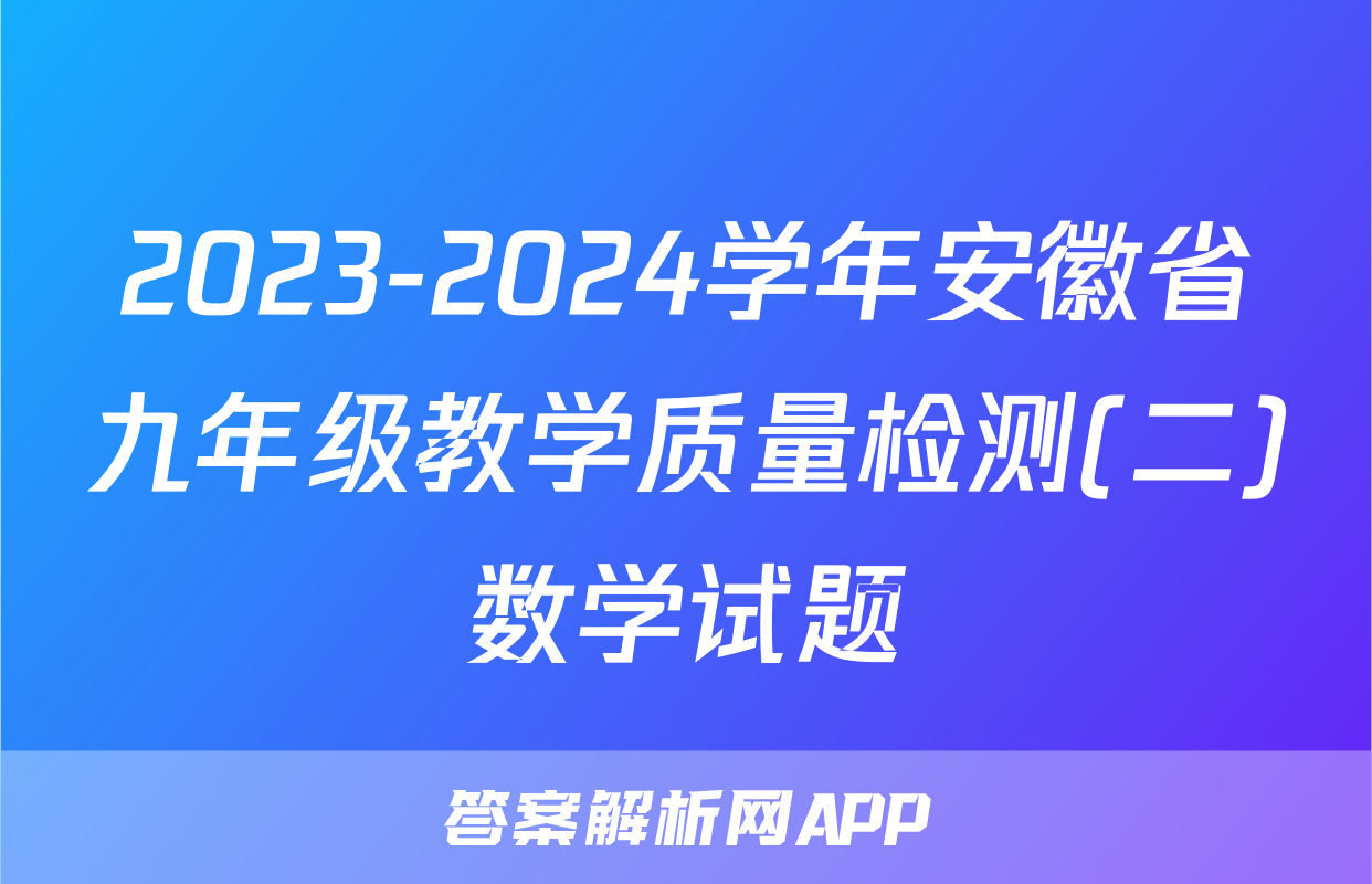 2023-2024学年安徽省九年级教学质量检测(二)数学试题