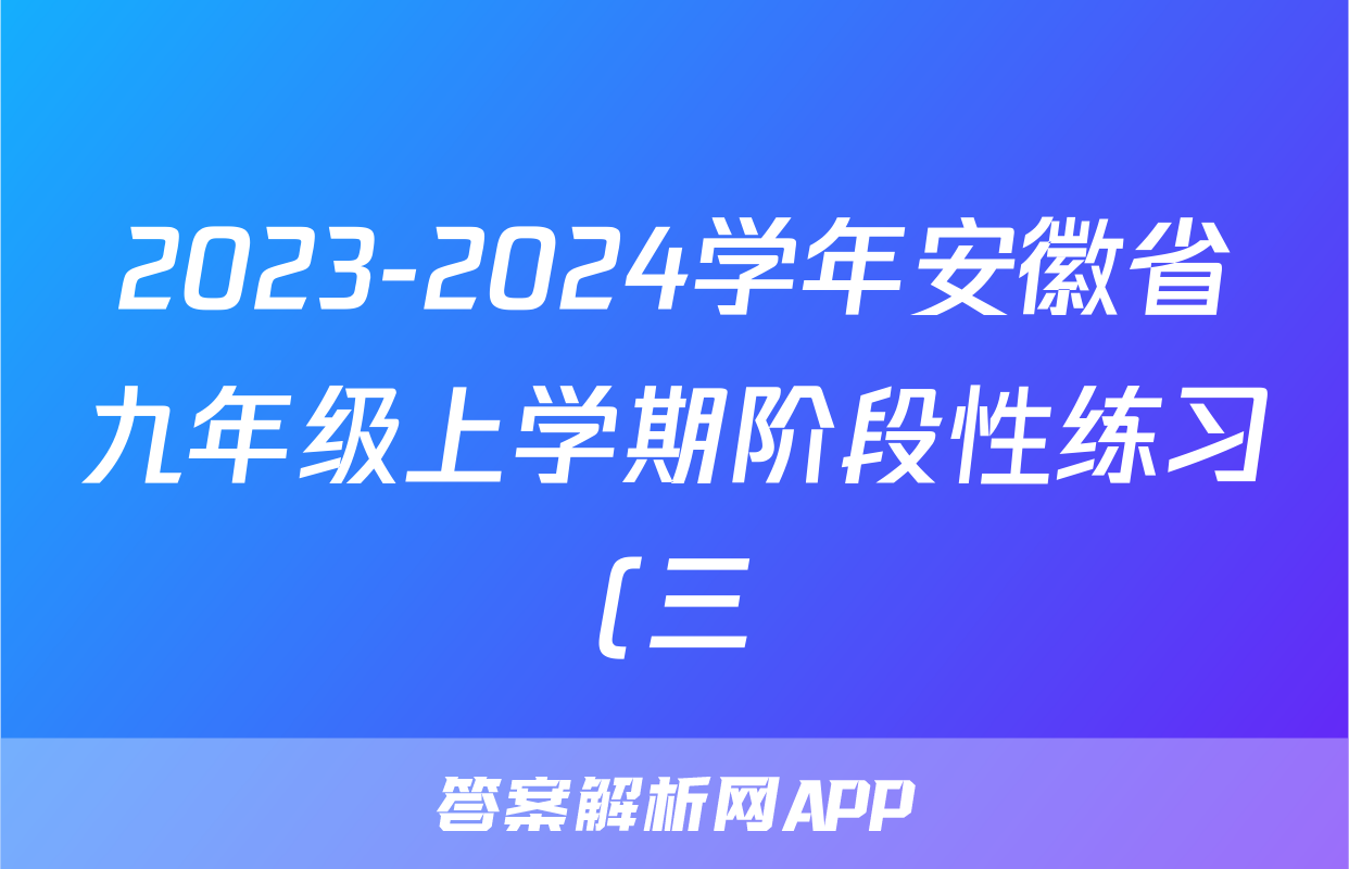 2023-2024学年安徽省九年级上学期阶段性练习(三)3地理答案