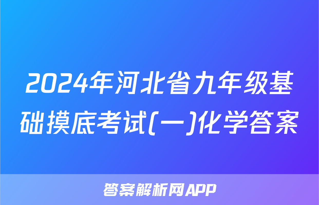 2024年河北省九年级基础摸底考试(一)化学答案