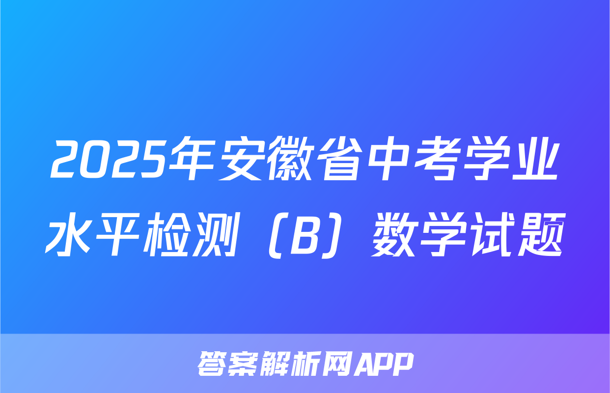 2025年安徽省中考学业水平检测（B）数学试题