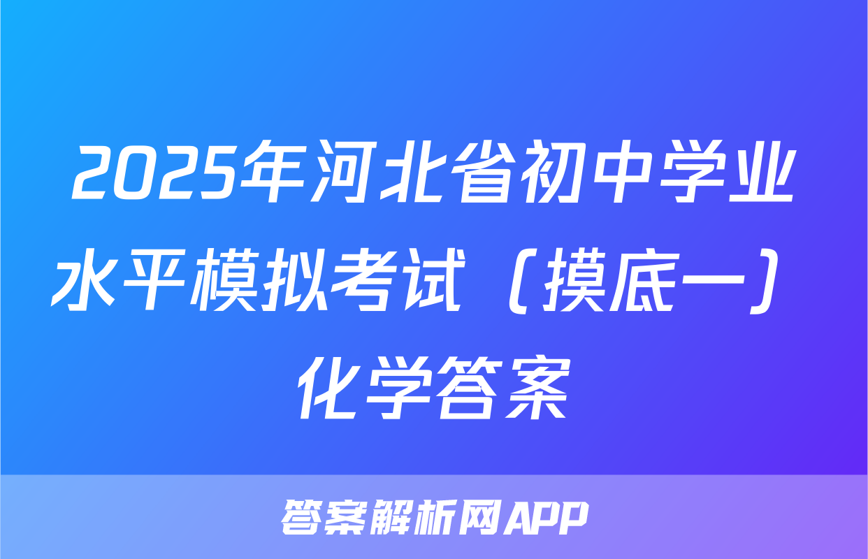 2025年河北省初中学业水平模拟考试（摸底一）化学答案
