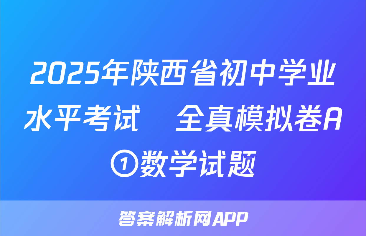 2025年陕西省初中学业水平考试•全真模拟卷A①数学试题